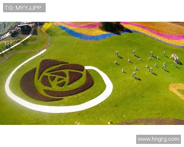 重庆飞盘队的成功运营模式与发展潜力深度解析